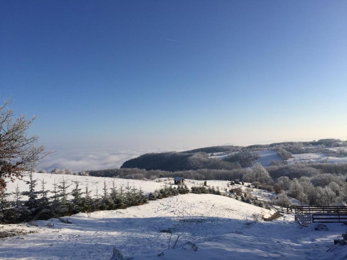 Vila Hajdi Planina Tara Bajina Basta Exterior foto