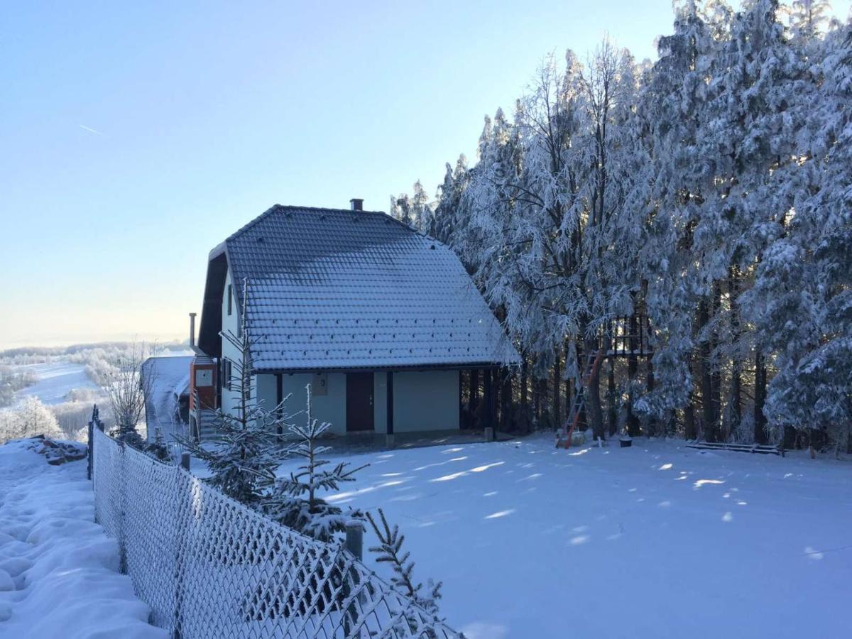 Vila Hajdi Planina Tara Bajina Basta Exterior foto